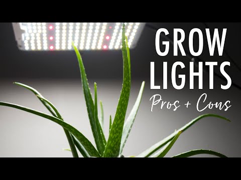 Are Grow Light