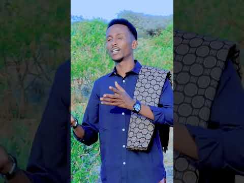 Boogihii Dhiigayee Dhagax Tuurkii Ku Dhacay Yaan Ladhaafinoo Hala Dhayo Dhamaan