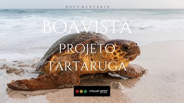 Film Projeto Tartaruga 2025 HD