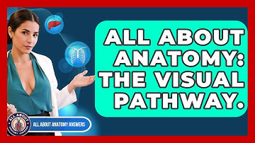 All About Anatomy: The Visual Pathway. - All About Anatomy Answers