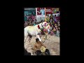 Kolhapur bhutya live in mhakave