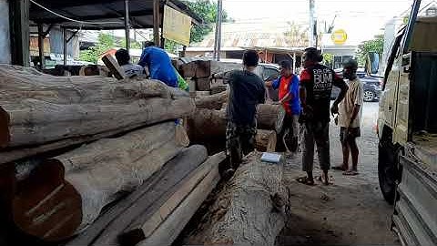MENAIKKAN KAYU GELONDONGAN KE MOBIL TRUK CARA MANUAL teknik kerja karya strategi wood mebel Meja