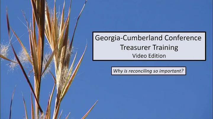 Treasurer Training - 6.1 - Bank Reconciliations - Why is Reconciling So Important?