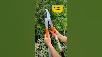 Kéo cắt cành cộng lực HM012 chuyên dùng cắt tỉa cành nhánh to cành nhánh trên cao.#keocatcanh