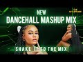 NEW DANCEHALL MIX 2025 SHAKE IT TO THE MAX (FLY) BY MOLIY MASHUP MIX DANCEHALL | AFROBEAT MIX 2025