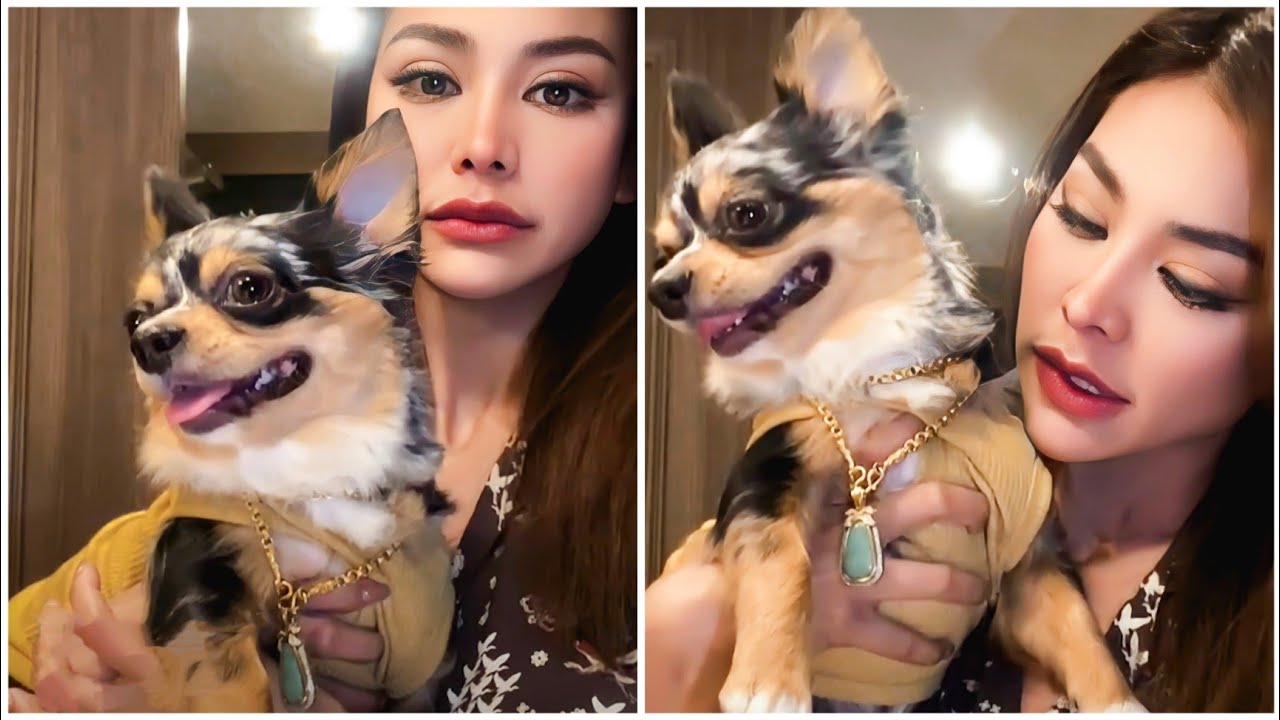 อิงฟ้า ไลฟ์สดกับน้องเกี๊ยว จะหาแม่ให้ลูกเพิ่ม