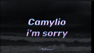 i'm sorry by Camylio مترجمة بالعربية #videolyrics