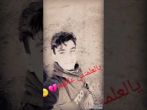 حمار الكسرة 8