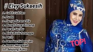 Full Album Elvy Sukaesih || Cubit Cubitan || Bosan Mengalah || Kumpulan Lagu Dangdut Terbaik!