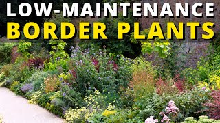 Top 5 Plants for a Low-Maintenance Garden Border 💛💚💜
