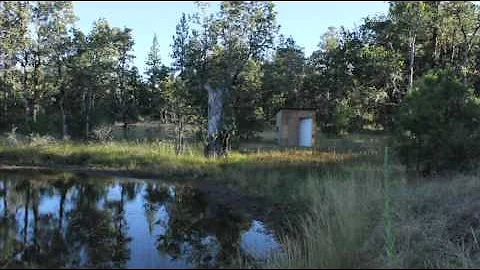 Oregon Man jailed for collecting rain water Summary