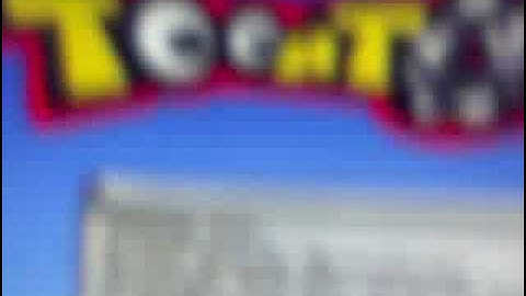 Random Video Of Toontown