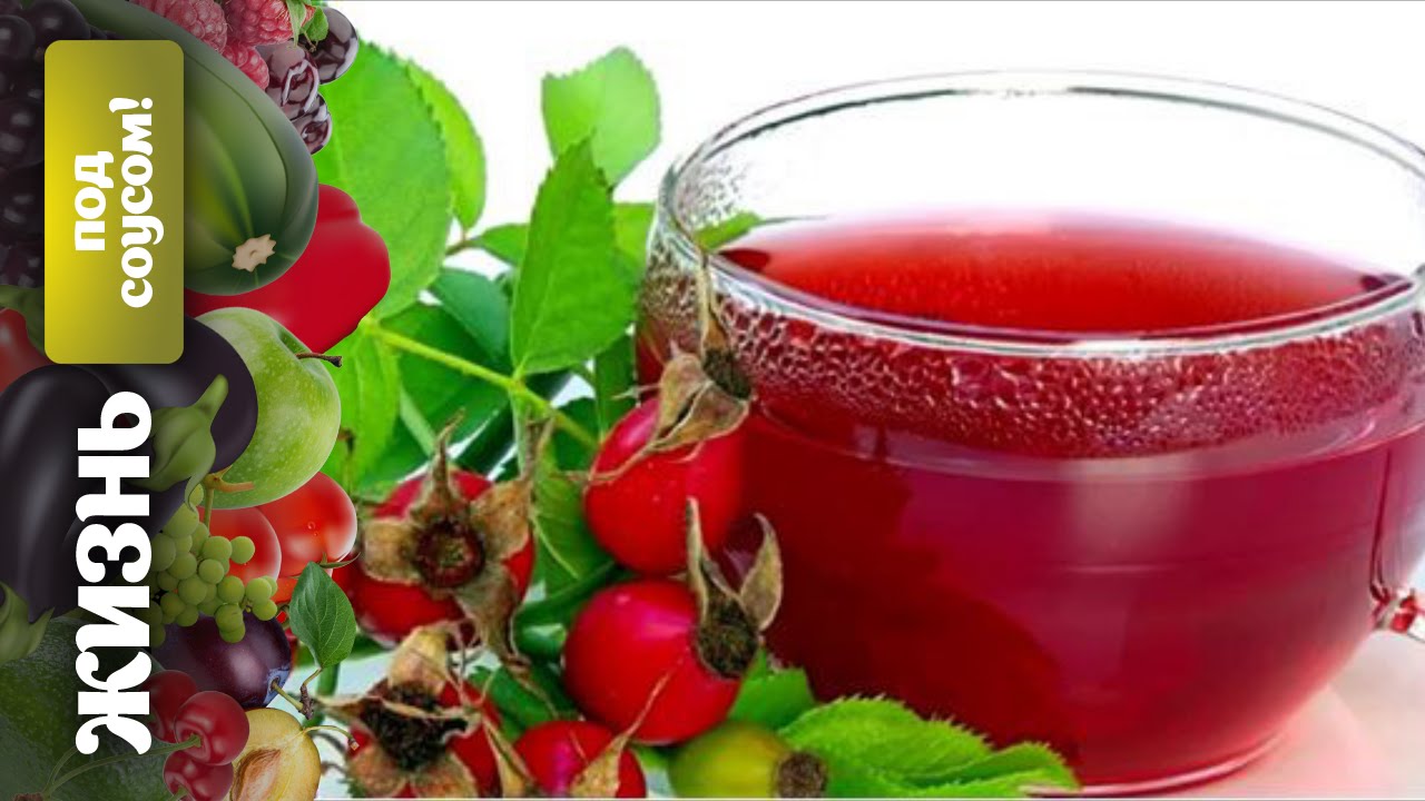 Жизнь под соусом: кто шиповник пьет – сто лет живет!