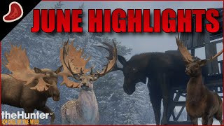 TBone's June Highlights! | theHunter: Call of the Wild