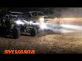 ❄️ Sylvania H11 LED Ultra: The Ultimate Fog Light & Off-Road Upgrade!