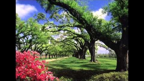 القارئ ماجد الزامل سورة الملك تلاوة خاشعة