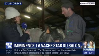 Rencontrez Imminence, la vache star du salon de l'agriculture Resimi