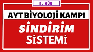 Sindirim Sistemi Ayt Bi̇yoloji̇ Kampi 5Gün 