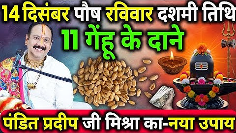 14 दिसंबर पौष रविवार दशमी तिथि के दिन 11 गेंहू के दाने वाला उपाय जरुर करे || Pradeep Ji Mishra.