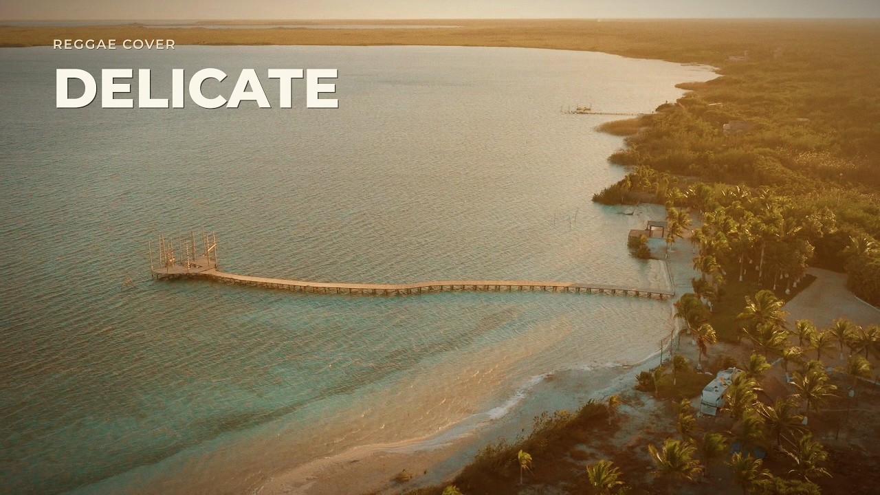 Watch Delicate (Reggae Cover) 🌴 Original By Taylor Swift on YouTube Watch Delicate (Reggae Cover) 🌴 Original By Taylor Swift on YouTube