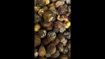 hazelnut sorting machine - mini model