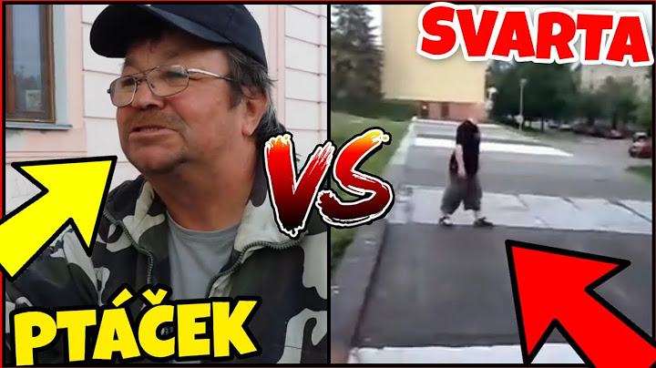 TOP 5 ČESKÝCH VIDEÍ NA YOUTUBE  |  legendy českého internetu | CZ/SK