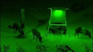Elusive Wildlife Outfitter Motion Activated Light Solar Powered for Hog at Night Hunting