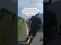 A Police Dog Mauled A Black Man In Ohio During A Traffic Stop After He Surrendered To Authorities A Police Dog Mauled A Black Man In Ohio During A Traffic Stop After He Surrendered To Authorities