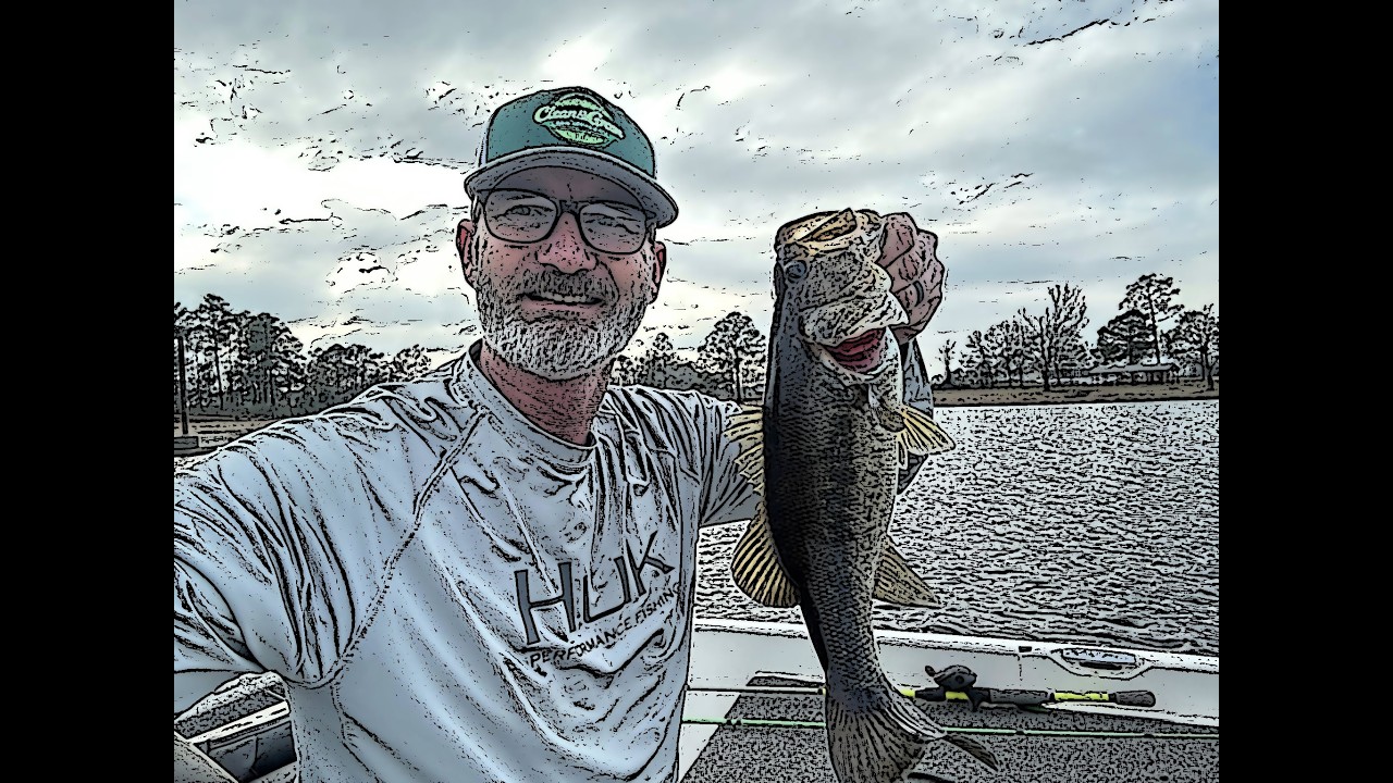 Bass Fishing #bassfishing