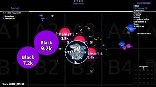 Agar.io Win/Win (Compilation) #4 | Blazzter