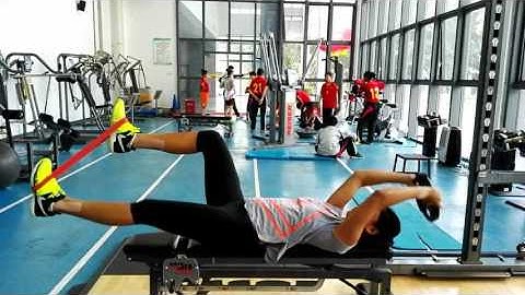 Plate-band bench dead bugs