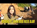 [FULL] MERANA DI  TANAH KAYA HASIL ALAM | INDONESIAKU (24/01/22)
