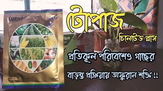 টপজ চলটড পলস এর কজ ক? চলটড জক ব দসত ক? চলটড জক এর কজ ক? Topaz Intefa