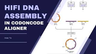HiFi DNA Assembly with CodonCode Aligner