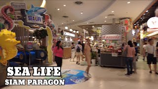 SEA LIFE BANGKOK OCEAN WORLD - SIAM PARAGON || 4K 🎥