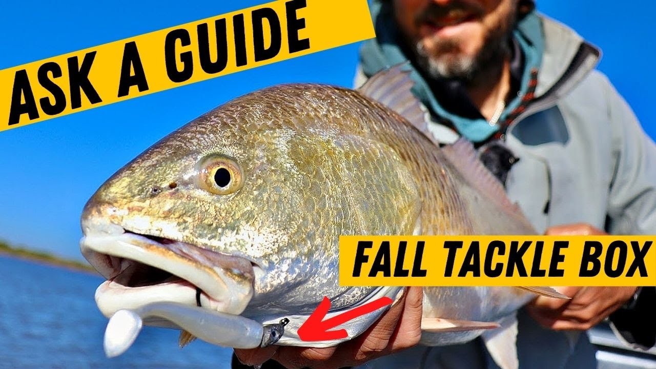Ask A Guide: Fall Tackle Box (Must-Have Fishing Lures For Late