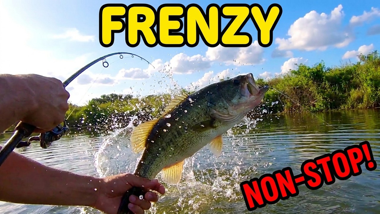 The Bass Were Hungry Today