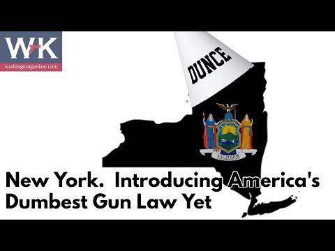 New York.  Introducing America's Dumbest Gun Law Yet.