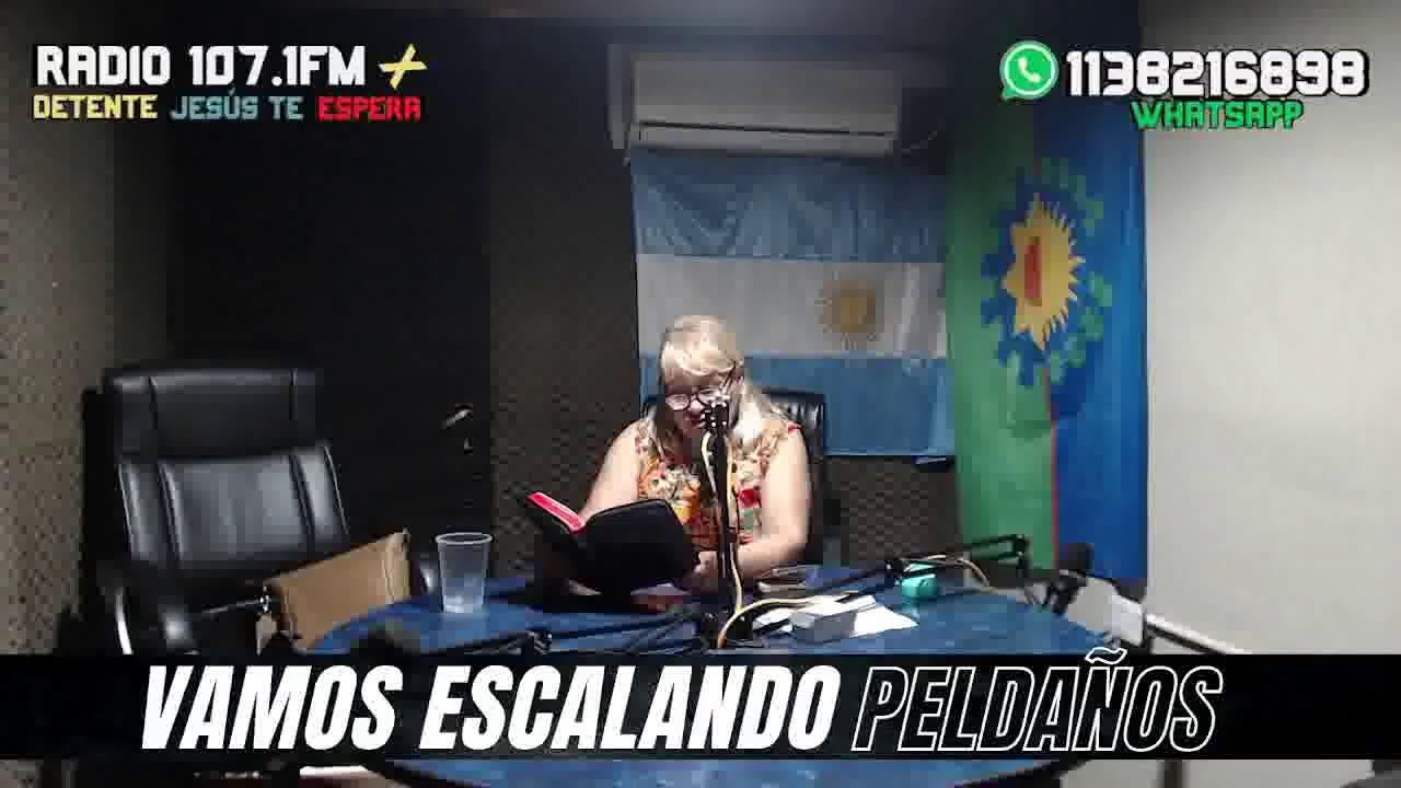VAMOS ESCALANDO PELDAÑOS