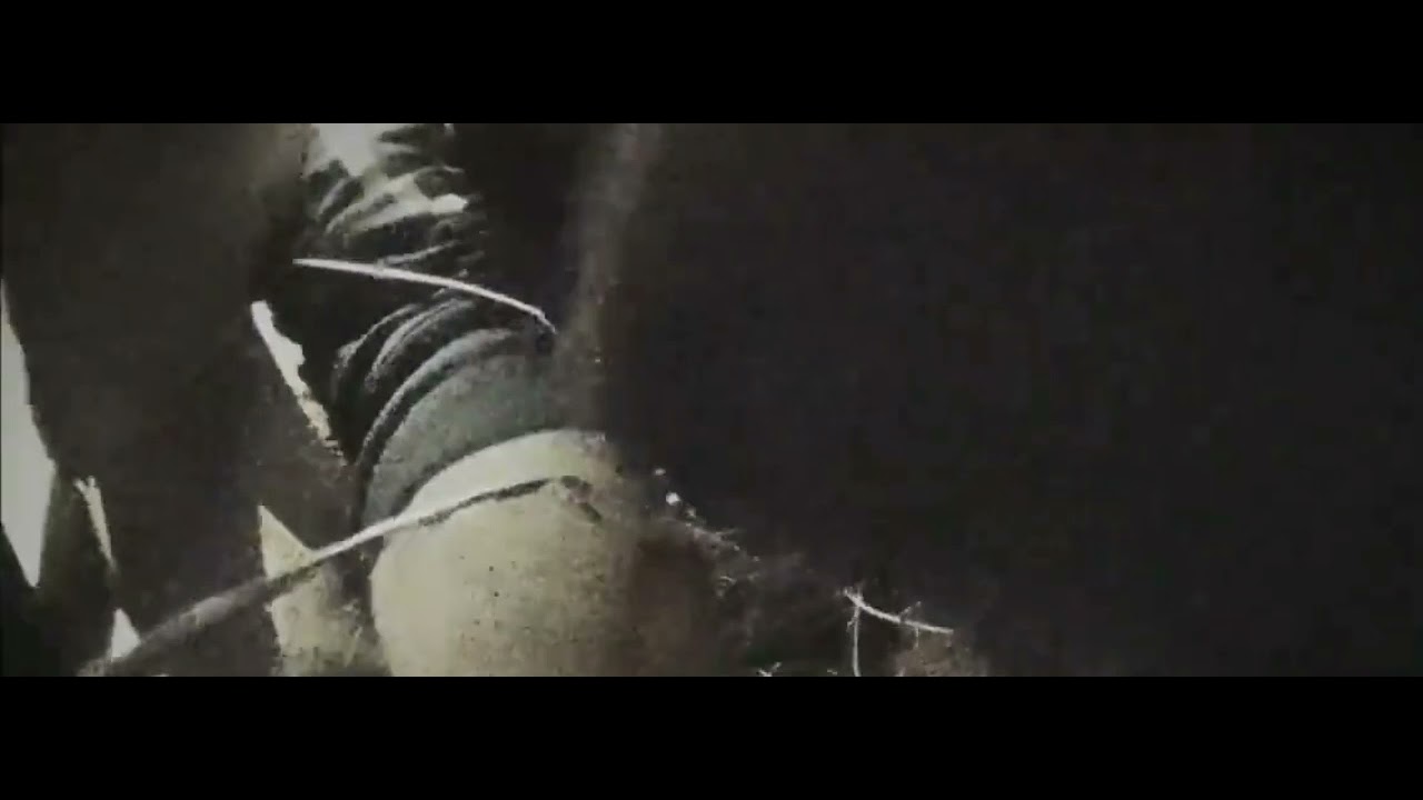 bigg boss season5 telugu promo |biggboss5 latest video