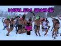BossCraft Harlem Shake (800 sub special)