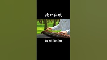 Lục Dã Tiên Tung 绿野仙踪 Nhẹ nhàng nhưng đầy khí chất #cocam #guqin