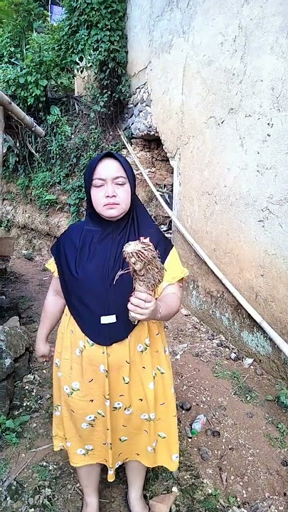 Bambu singa berapi ternyata ajaib di dalamnya ada pusaka keris kecubung sakti #mistis #vidio #viral