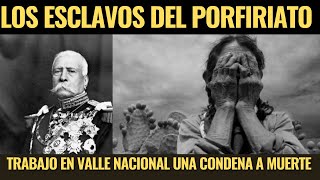 Los Esclavos Olvidados de Porfirio Díaz - El infierno de Valle Nacional