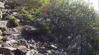Hiking Tuckerman Ravine Headwall with Bryan.MP4