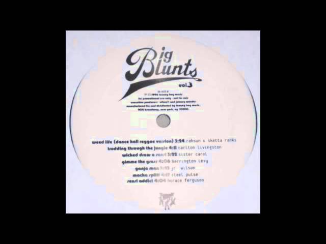 Barrington Levy - Gimme The Grass