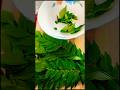 crispy curry leaves 👌| curry patta recipe | homemade curry patta recipe 😋#shorts #curryleaves #food