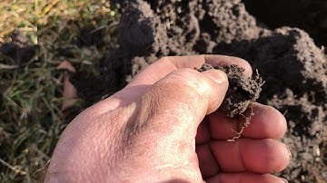 Metal Detecting Detroit, MI - Day #2
