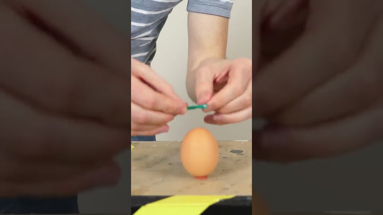 Making An Homunculus DO NOT TRY 