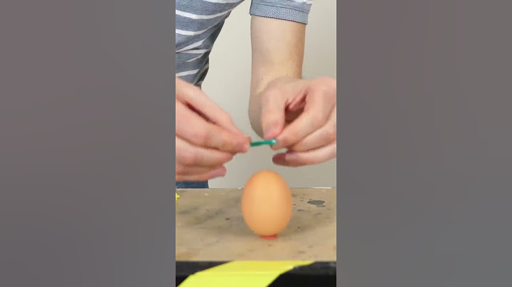 Making an Homunculus (DO NOT TRY)
